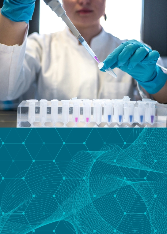 First slide description