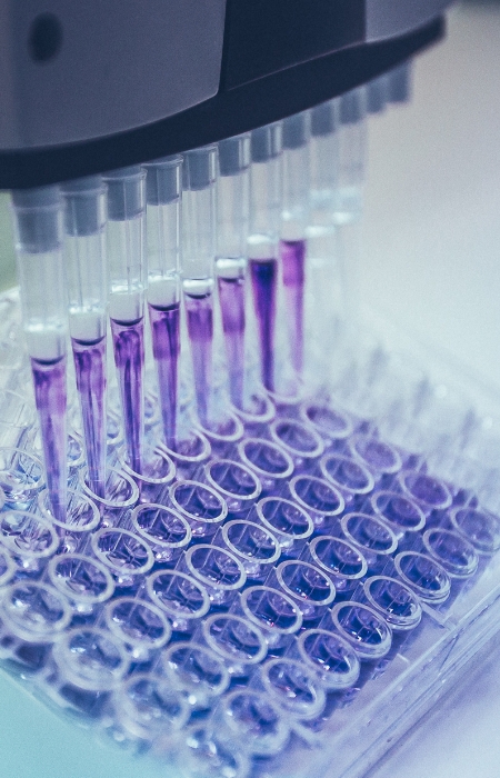 Scientific Support Hero