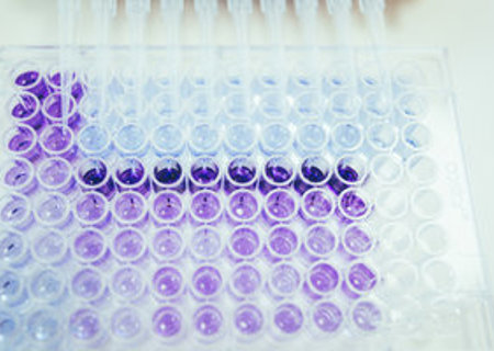 Daily sequencing dropbox