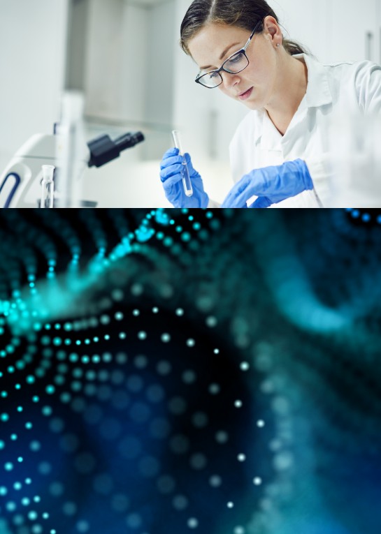 First slide description