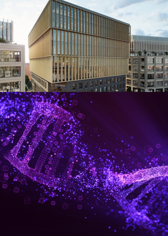 First slide description