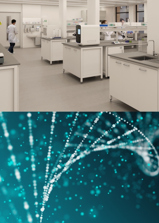 First slide description