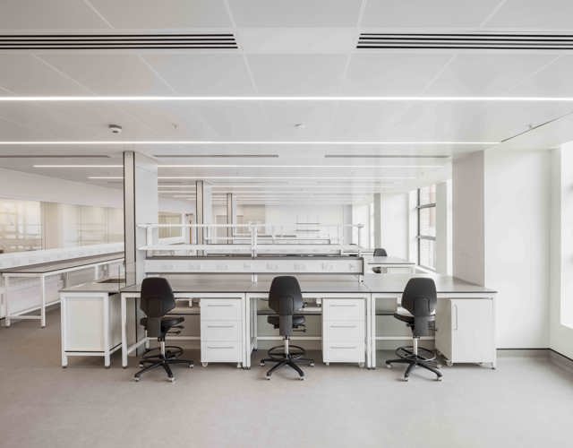 Apex Lab