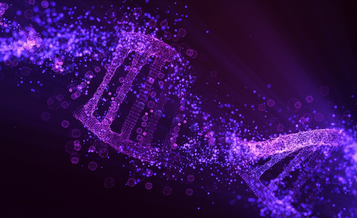 First slide description