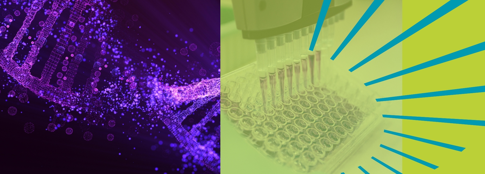 Scientific Support Hero