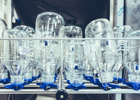 Sterilisation services